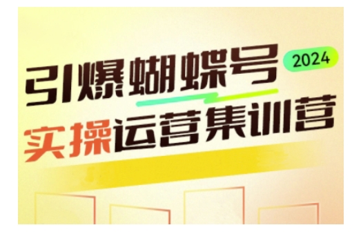 引爆蝴蝶号实操运营，助力你深度掌握蝴蝶号运营，实现高效实操，开启流量变现之路-南友云赚