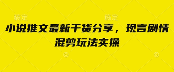 小说推文最新干货分享，现言剧情混剪玩法实操-南友云赚