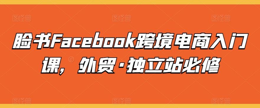脸书Facebook跨境电商入门课，外贸·独立站必修-南友云赚