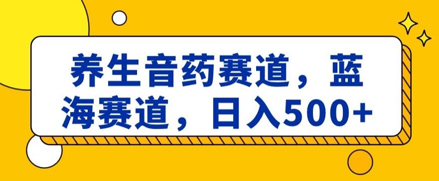 养生音药赛道，蓝海赛道，日入500+【揭秘】-南友云赚
