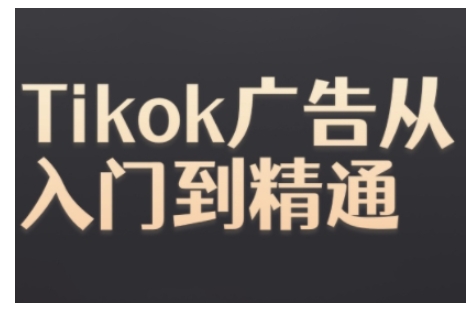 Tiktok Ads实操教程，Tiktok广告从入门到精通-南友云赚