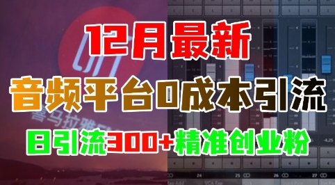 12月最新：音频平台0成本引流，日引流300+精准创业粉-南友云赚