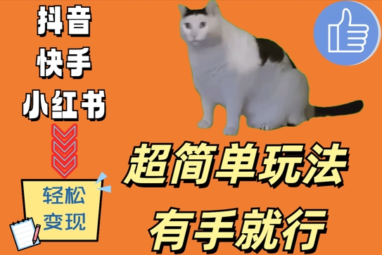 超简单玩法，有手就行，靠猫咪视频日入500+【揭秘】-南友云赚