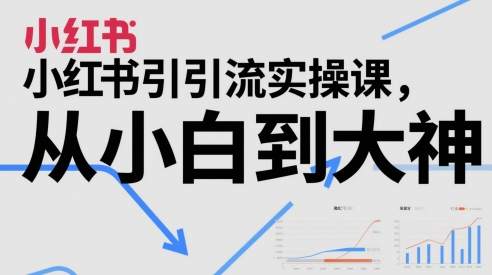 小红书引流实操课，从小白到大神-南友云赚