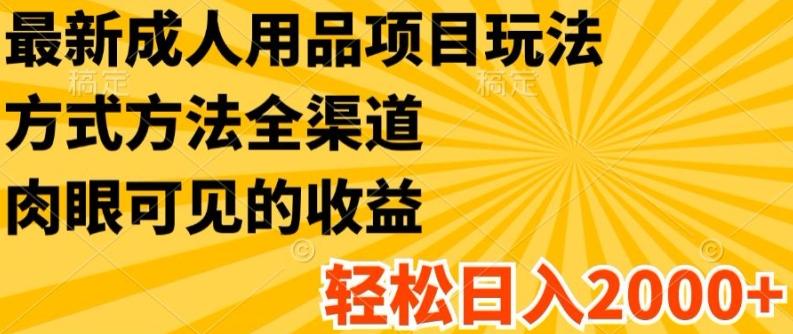 最新成人用品项目玩法，方式方法全渠道，轻松日入2K+【揭秘】-南友云赚