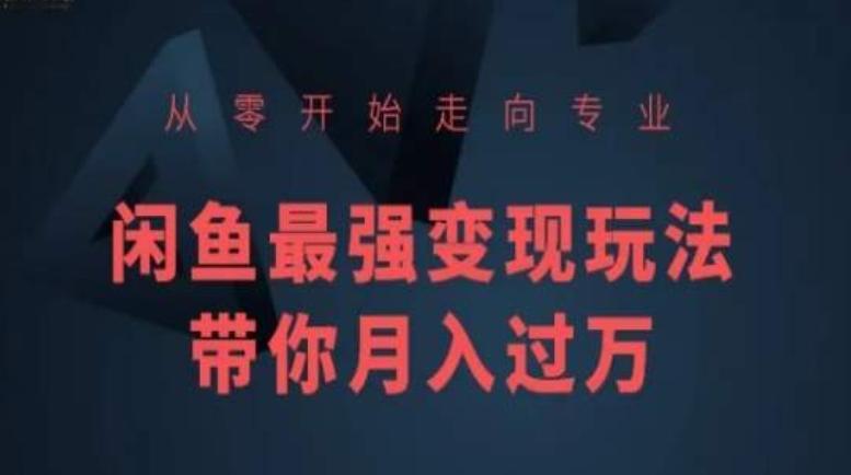 从零开始走向专业，闲鱼最强变现玩法带你月入过万-南友云赚