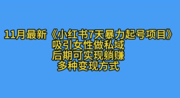 K总部落11月最新小红书7天暴力起号项目，吸引女性做私域【揭秘】-南友云赚