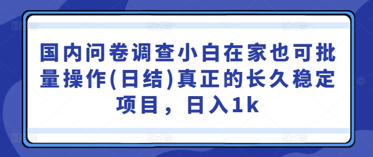 国内问卷调查小白在家也可批量操作(日结)真正的长久稳定项目，日入1k【揭秘】-南友云赚