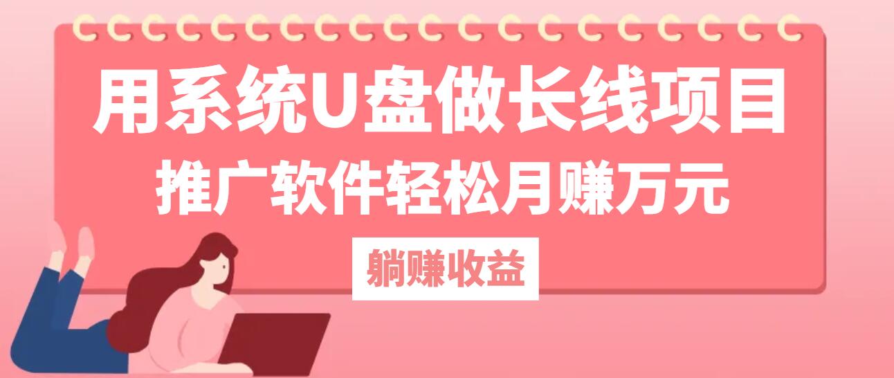 用系统U盘做长线项目，推广软件轻松月赚万元-南友云赚