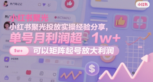 小红书聚光投放实操经验分享，单号月利润超1w+，可以矩阵起号放大利润-南友云赚