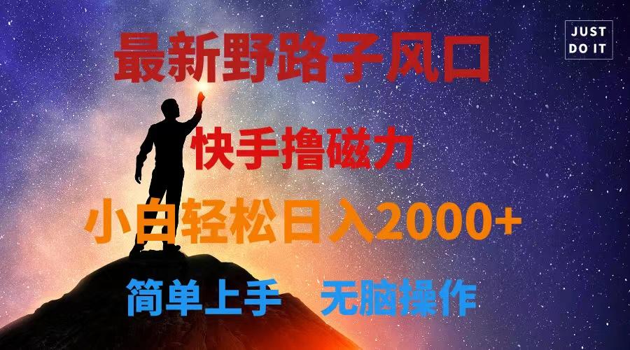 最新风口！快手撸磁力，野路子，小白无脑操作日入2000+-南友云赚