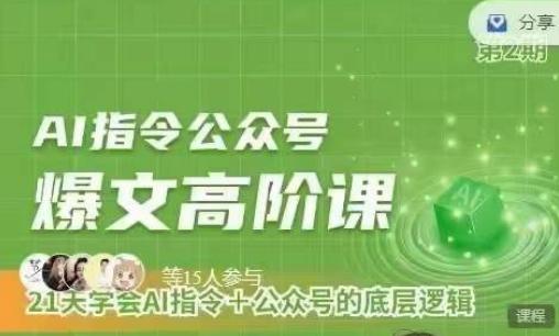 Ai指令公众号高阶课，学会ai指令+公众号的底层逻辑-南友云赚