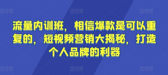 流量内训班，相信爆款是可以重复的，短视频营销大揭秘，打造个人品牌的利器-南友云赚