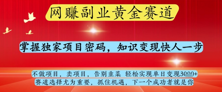 网创副业黄全赛道，掌握独家项目密码，知识变现快人一步，告别韭菜轻松实现单日变现1k+【揭秘】-南友云赚