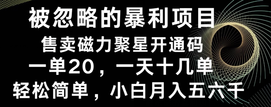 被忽略的暴利项目！售卖磁力聚星开通码，一单20，一天十几单，轻松月入五六千-南友云赚