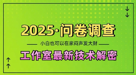 2025问卷调查最新工作室技术解密：一个人在家也可以闷声发大财，小白一天2张，可矩阵放大【揭秘】-南友云赚