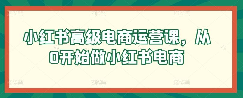 小红书高级电商运营课，从0开始做小红书电商-南友云赚