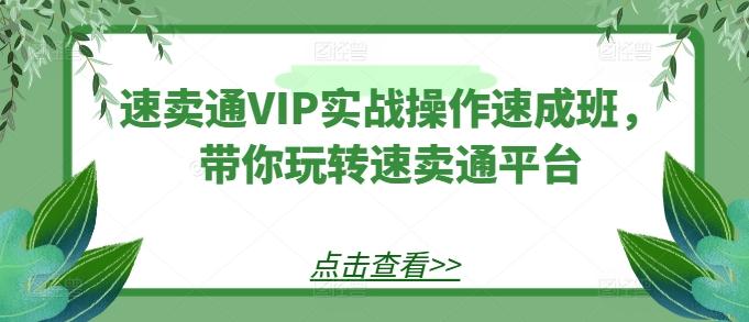 速卖通VIP实战操作速成班，带你玩转速卖通平台-南友云赚