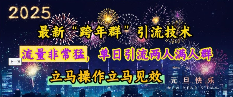 最新“跨年群”引流，流量非常猛，单日引流两人满人群，立马操作立马见效【揭秘】-南友云赚