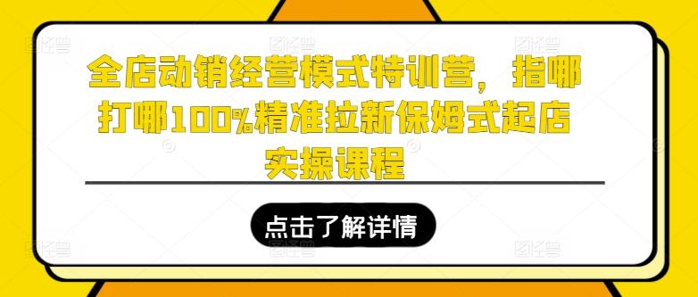 全店动销经营模式特训营，指哪打哪100%精准拉新保姆式起店实操课程-南友云赚