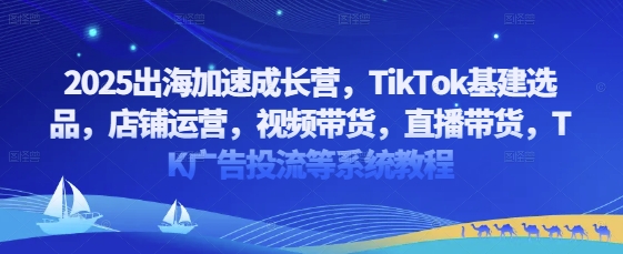 2025出海加速成长营，TikTok基建选品，店铺运营，视频带货，直播带货，TK广告投流等系统教程-南友云赚