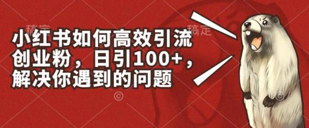 小红书如何高效引流创业粉，日引100+，解决你遇到的问题【揭秘】-南友云赚