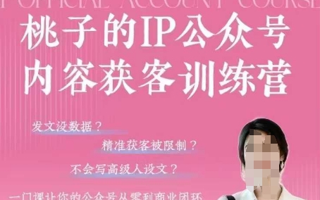 桃子IP公众号内容获客训练营(第3期)，一门让你公众号从0到商业闭环的课程-南友云赚