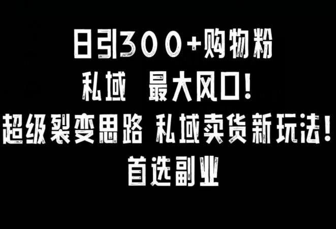 日引300+购物粉，超级裂变思路，私域卖货新玩法，小红书首选副业【揭秘】-南友云赚