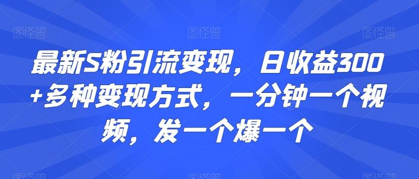 最新S粉引流变现，日收益300+多种变现方式，一分钟一个视频，发一个爆一个【揭秘】-南友云赚