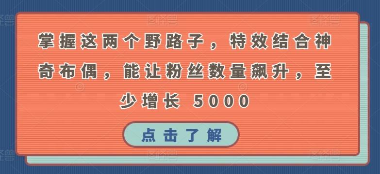 掌握这两个野路子，特效结合神奇布偶，能让粉丝数量飙升，至少增长 5000【揭秘】-南友云赚