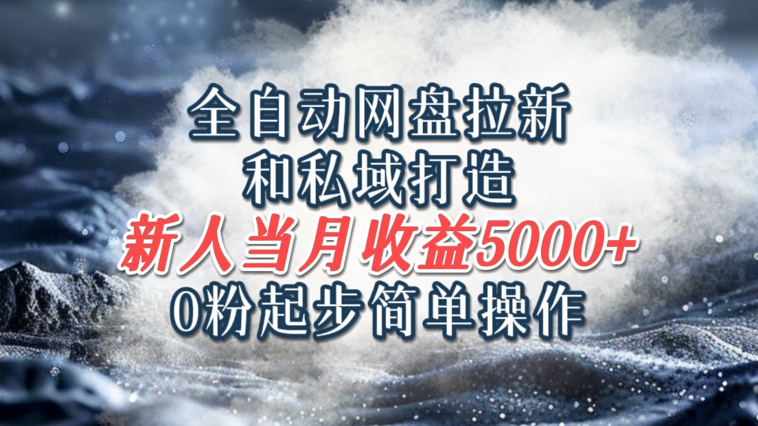 全自动网盘拉新和私域打造，0粉起步简单操作，新人入门当月收益5000以上-南友云赚