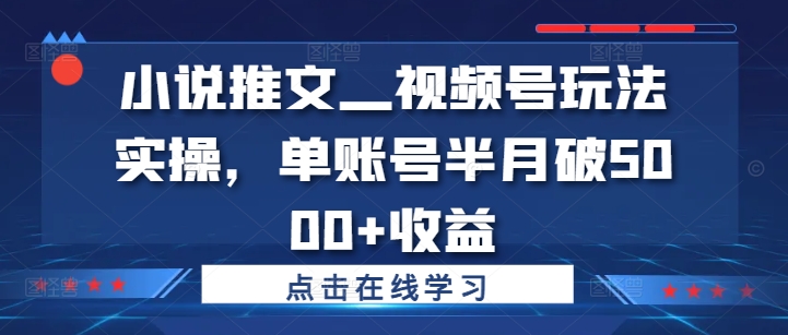 小说推文—视频号玩法实操，单账号半月破5000+收益-南友云赚