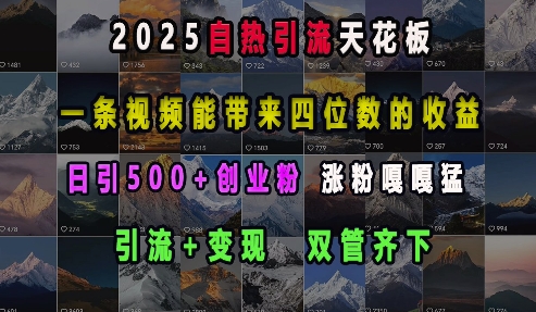 2025自热引流天花板，一条视频能带来四位数的收益，引流+变现双管齐下，日引500+创业粉，涨粉嘎嘎猛-南友云赚