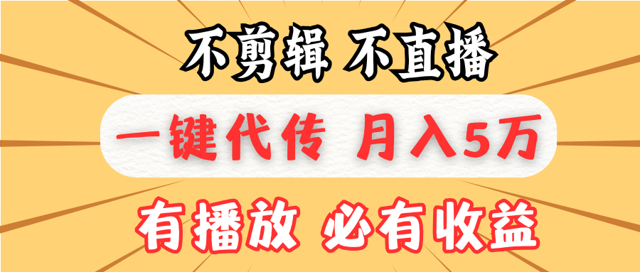 不剪辑不直播，一键代发，月入5万懒人必备，我出视频你来发-南友云赚