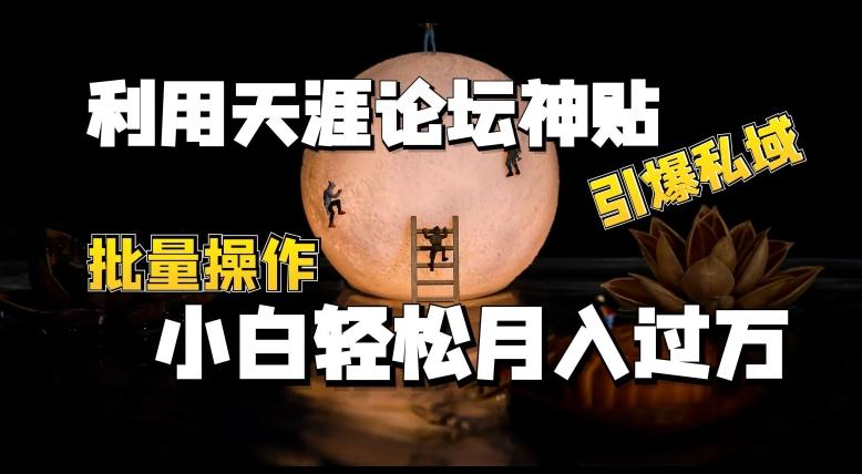 利用天涯论坛神贴，引爆私域，批量操作，小白轻松月入过w【揭秘】-南友云赚