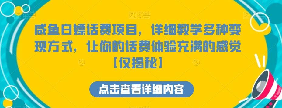 咸鱼白嫖话费项目，详细教学多种变现方式，让你的话费体验充满的感觉【仅揭秘】-南友云赚