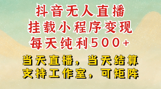 抖音无人直播挂载小程序变现每天纯利500+当天直播，当天结算支持工作室，可矩阵【揭秘】-南友云赚