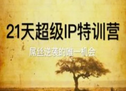 21天超级IP特训营，屌丝逆袭的唯一机会-南友云赚