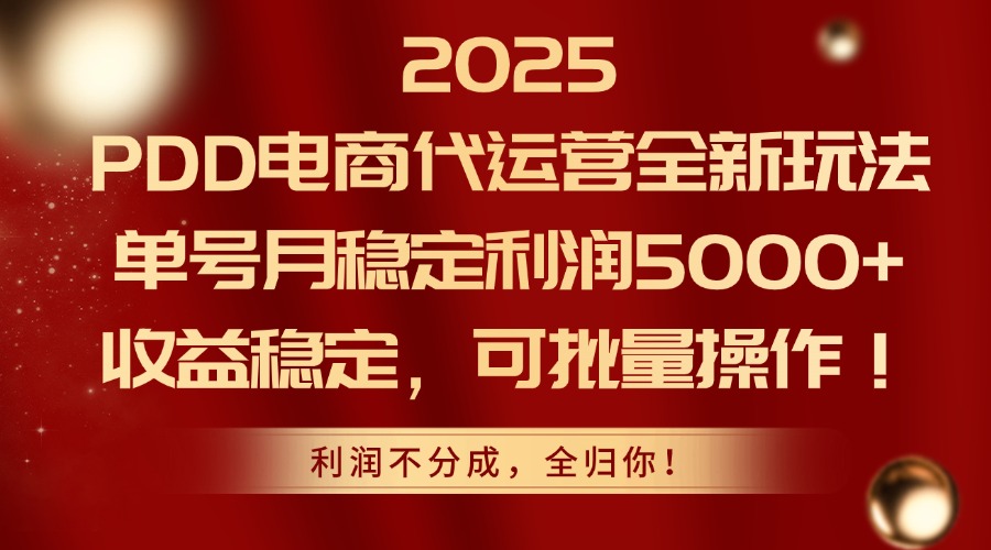2025PDD电商代运营全新玩法，单号月稳定利润5000+，收益稳定，可批量操作-南友云赚