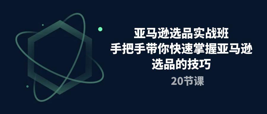 亚马逊选品实战班，手把手带你快速掌握亚马逊选品的技巧(20节课-南友云赚
