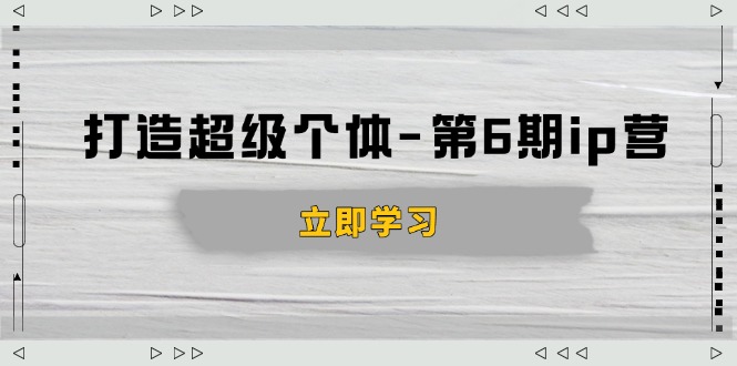 打造 超级个体-第6期ip营：商业认知,产品设计,成交演练,解决知识变现难题-南友云赚