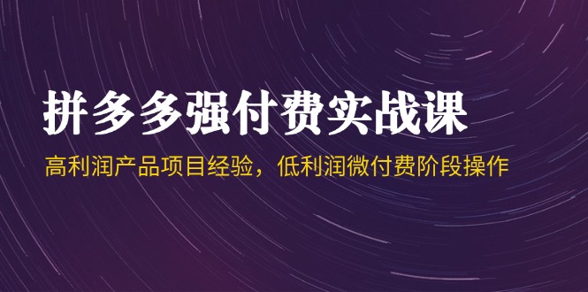 拼多多强付费实战课-44期，高利润产品项目经验，低利润微付费阶段操作-南友云赚