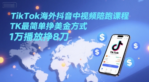 TikTok海外抖音中视频陪跑课程，TK最简单挣美金方式，1万播放挣8刀-南友云赚