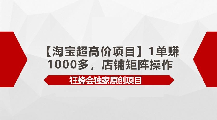 【淘宝超高价项目】1单赚1000多，店铺矩阵操作-南友云赚
