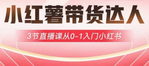 小红薯达人带货启航计划，3节直播课从0-1入门小红书-南友云赚