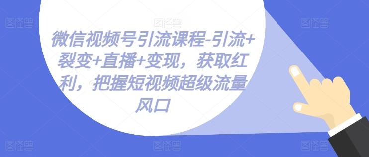 微信视频号引流课程-引流+裂变+直播+变现，获取红利，把握短视频超级流量风口-南友云赚
