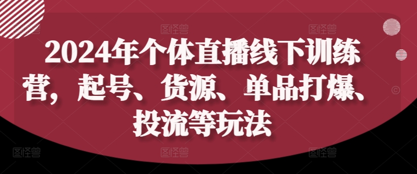 2024年个体直播训练营，起号、货源、单品打爆、投流等玩法-南友云赚