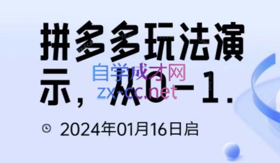 吴老师·拼多多从选品到截流到付费的玩法技巧-南友云赚