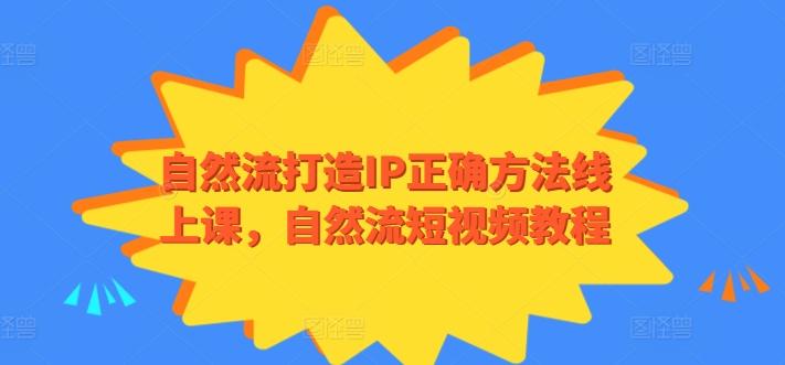 自然流打造IP正确方法线上课，自然流短视频教程-南友云赚