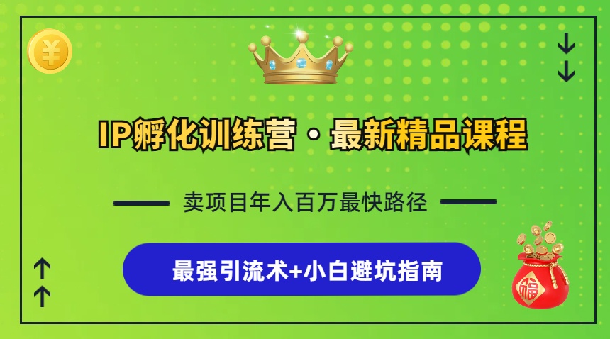 IP孵化训练营，知识付费全流程+最强引流术+小白避坑指南-南友云赚